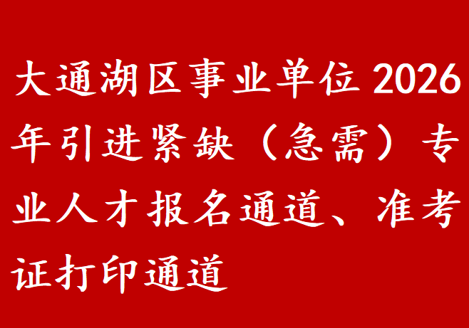 大通湖区事业单位2026年引进紧缺（急需）专业人才报名通道、准考证打印通道