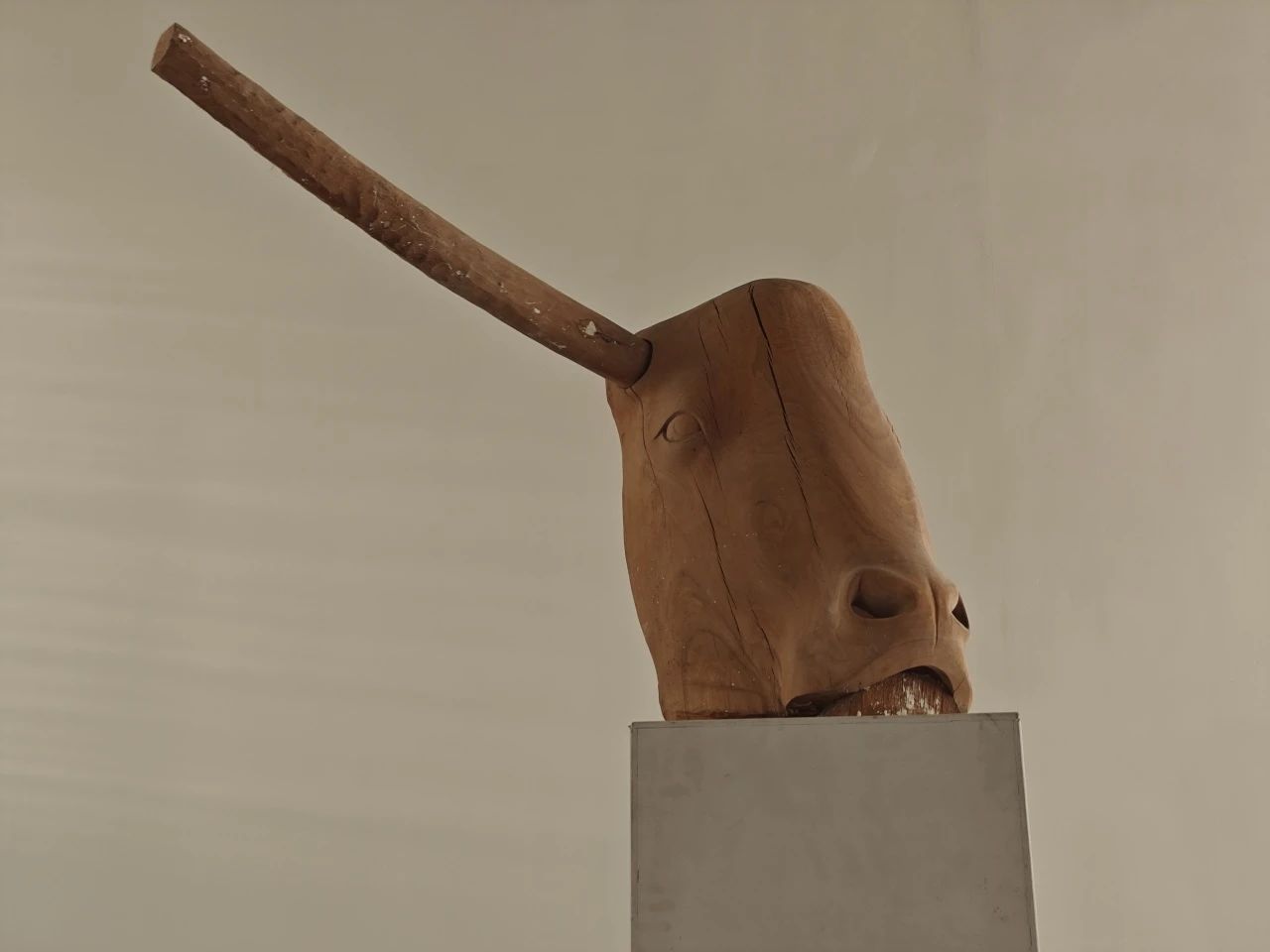 《面具》 李展 2015年 44x105x72cm 香樟木.jpeg