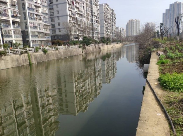 华东地区某滨河道路海绵城市设计