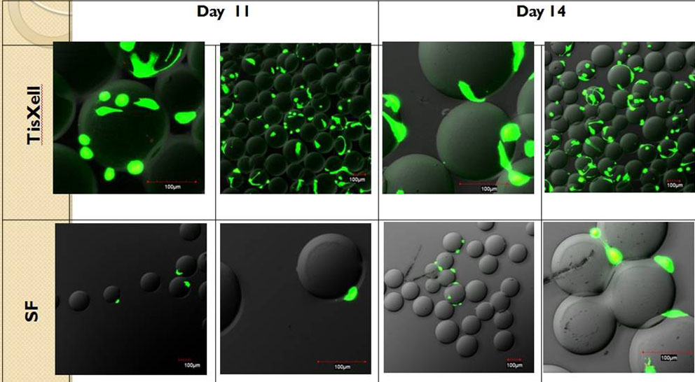 tisxell3d細胞組織再生生物反應器