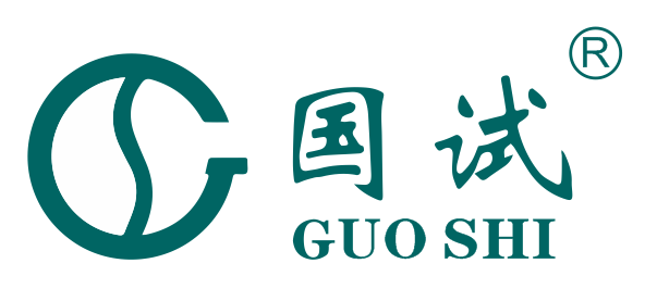 武汉国试logo