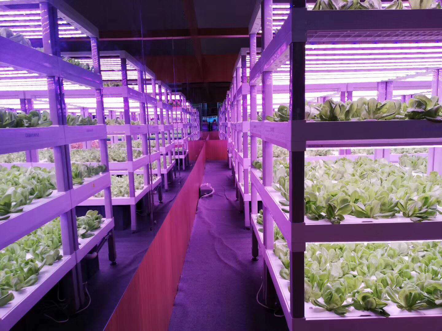 农业种植生产过程中的一些新产品。包括：水肥机、LED植物补光灯、光照培养架、各类农业检测仪器。