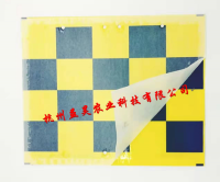 黄蓝粘虫板-带公司名称