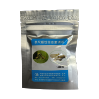 茶尺蠖