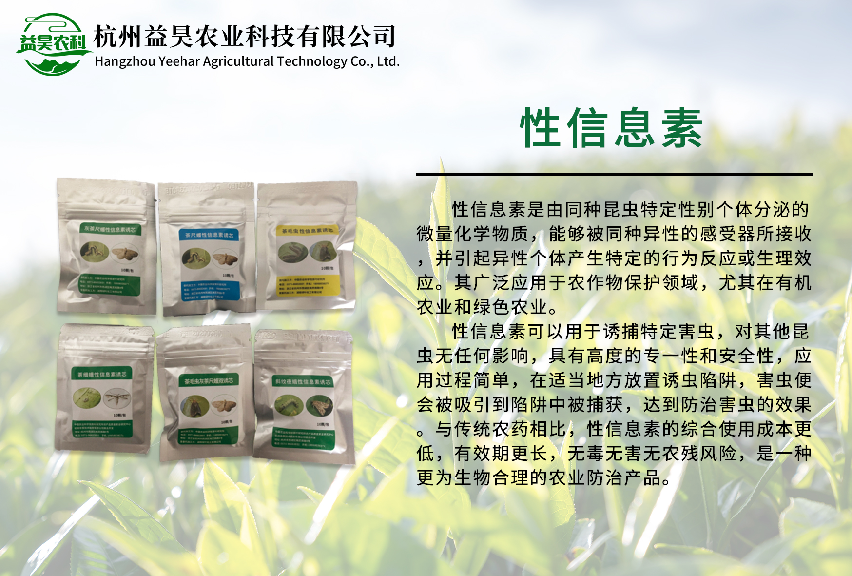 茶尺蠖 性信息素 绿色防控 茶园防控 生物防治 现代农业