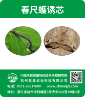 春尺蠖诱芯标贴