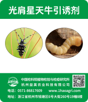光肩星天牛引诱剂标贴