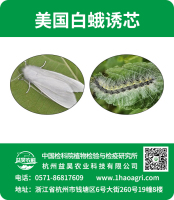 美国白蛾诱芯标贴