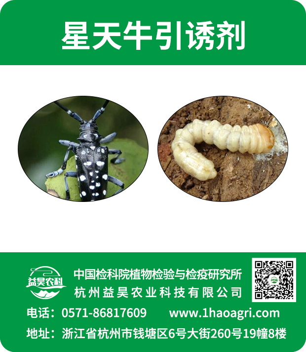 星天牛引诱剂标贴