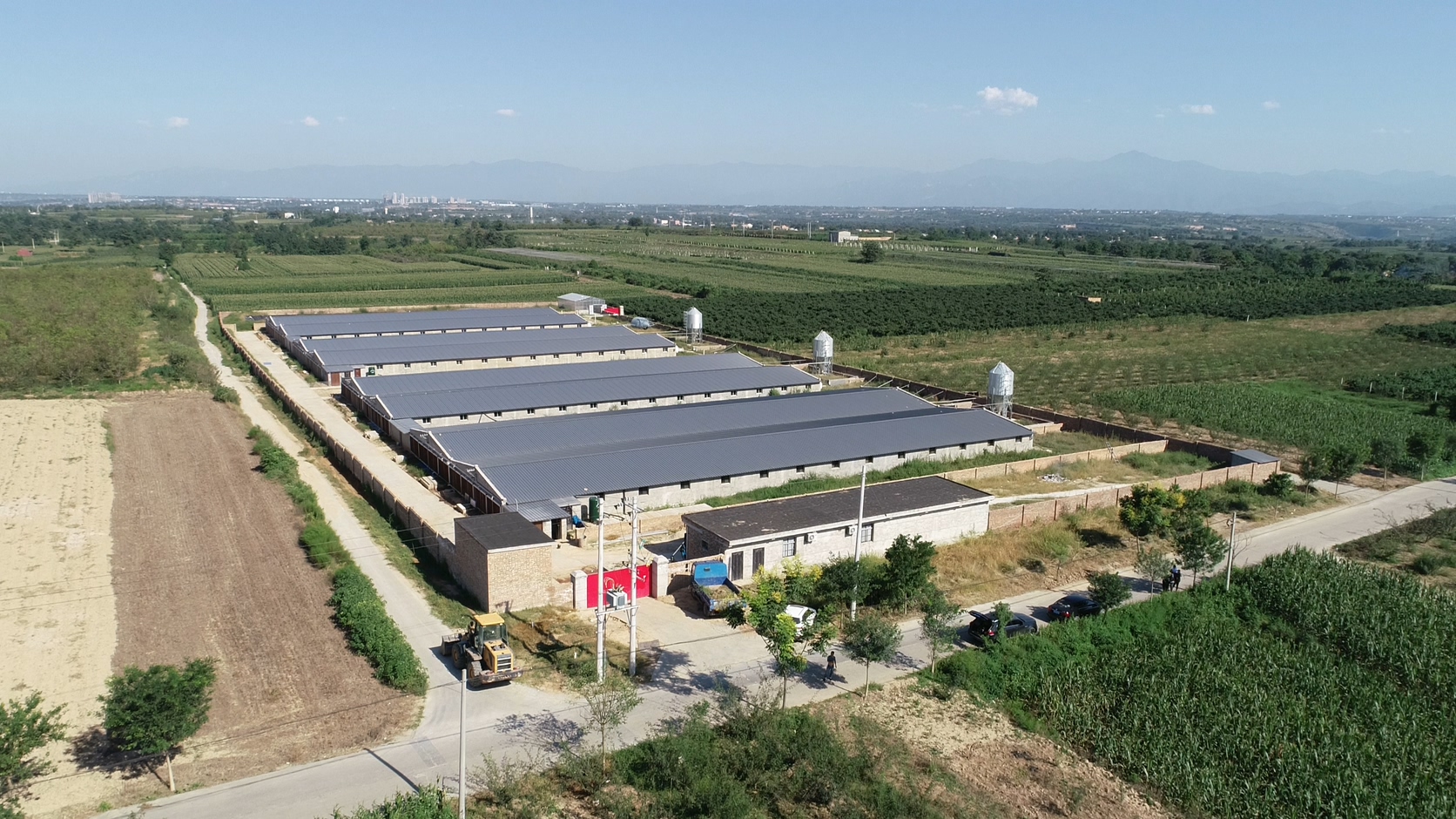 石羊生猪产业扶贫,分红分享致富成果-陕西石羊农业科技股份有限公司