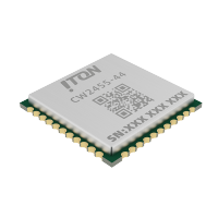 CW2455-44dengjiap