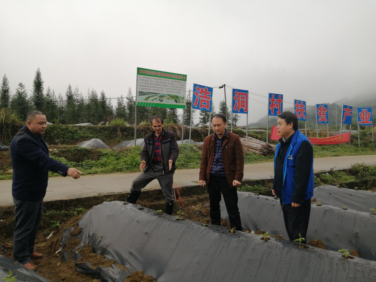 兩年大力幫扶,定點村整體脫貧國宏集團定點扶貧村賀州市平桂區黃田鎮