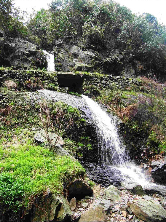 寧國市中溪鎮夏林竹林山莊_寧國夏霖農家樂_夏霖風景區住宿