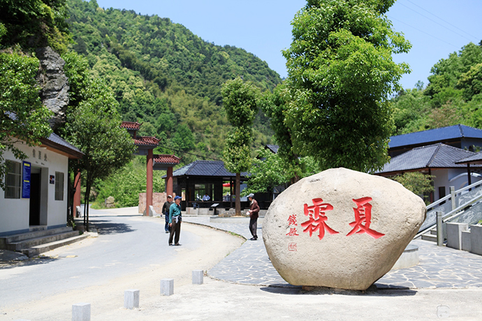 夏霖丰景-宁国夏霖竹林山庄