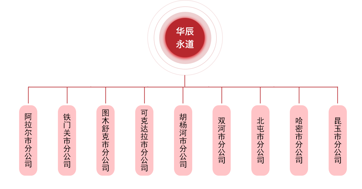 主页-新疆华辰永道信息科技有限公司