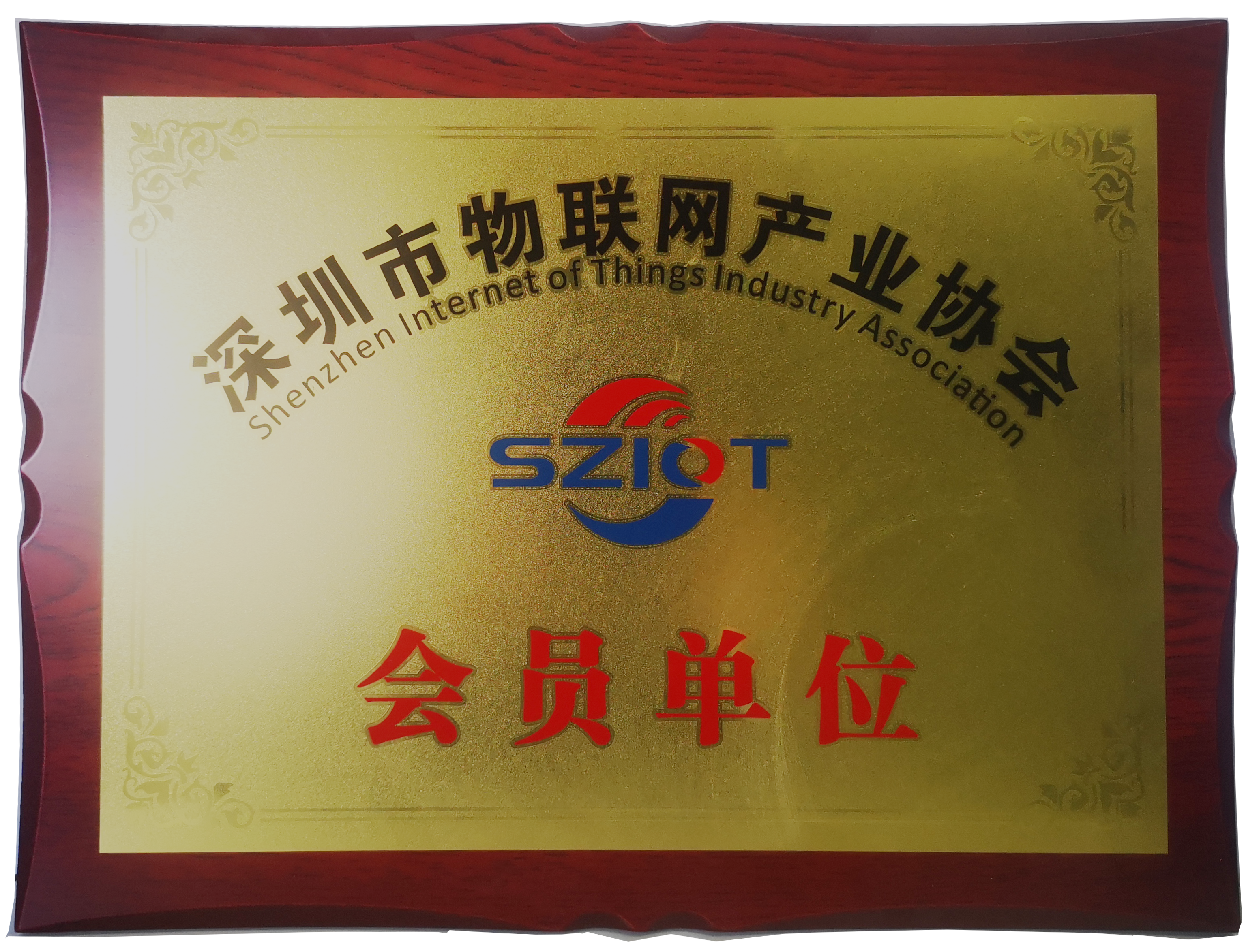 核芯物联是深圳市物联网产业协会会员单位