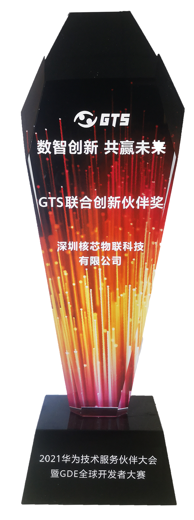 核芯物联荣获华为GTS联合创新伙伴奖