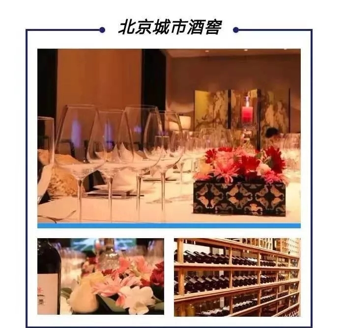 13.webp
