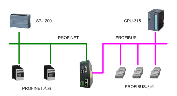 PNS-DPS-J