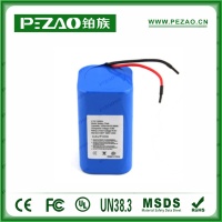 铂族工业电池ZM004
