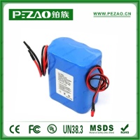 铂族工业电池ZM006
