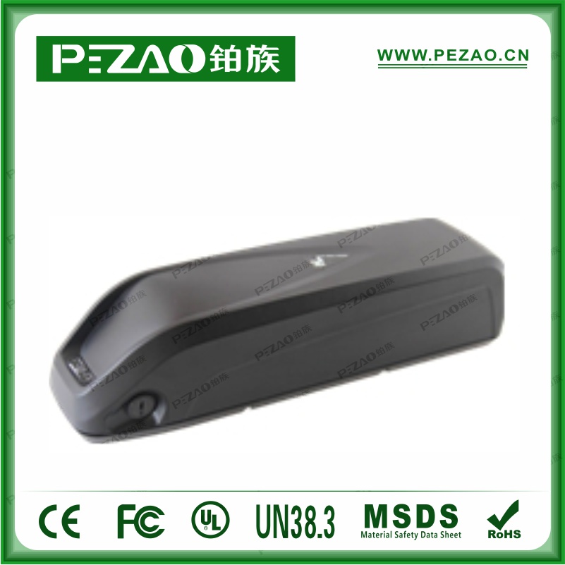 铂族动力电池 电动车电池PZ-ZX065