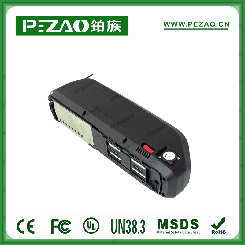 铂族动力电池 电动车电池PZ-ZX063