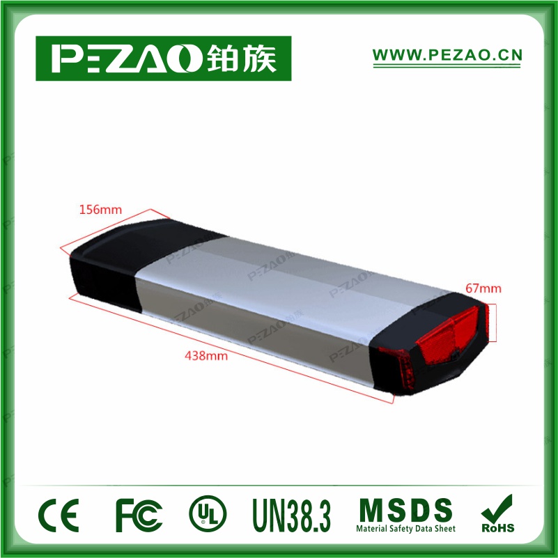 铂族动力电池 电动车电池PZ-ZX02