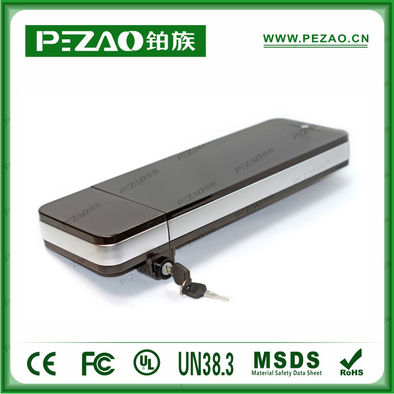铂族动力电池 电动车电池PZ-ZX026