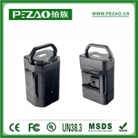 铂族动力电池 电动车电池PZ-ZX02