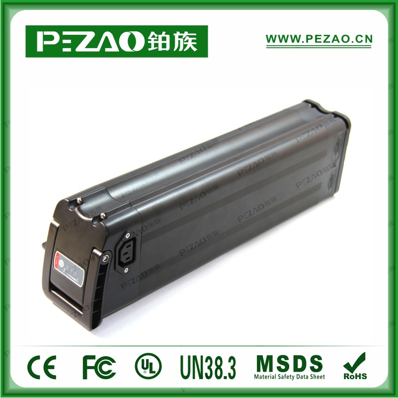 铂族动力电池 电动车电池PZ-ZX03