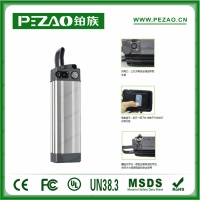 铂族动力电池 电动车电池PZ-ZX03