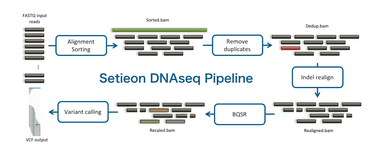 Sentieon DNAseq应用流程