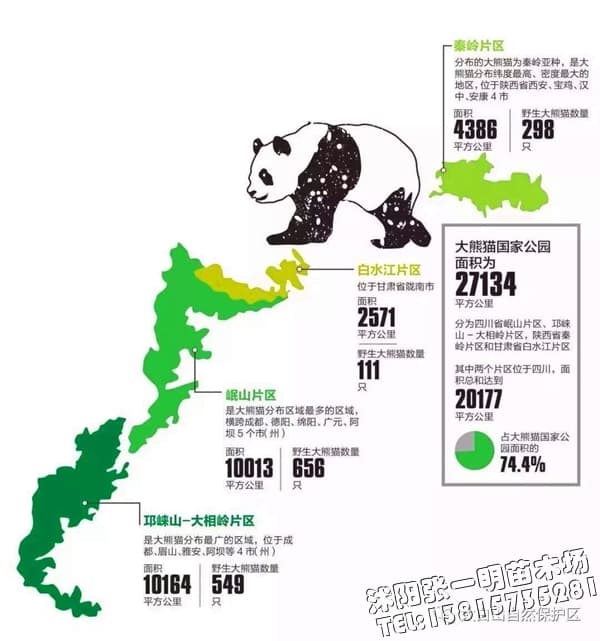 川藏铁路将穿越大熊猫公园，园林绿化苗木
