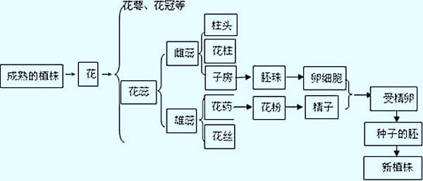 绿化苗木开花的原理_园林绿化_苗木价格_绿化工程