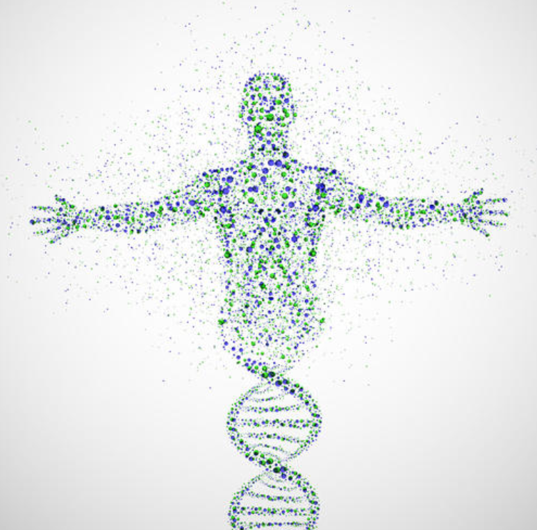 其实这个问题,科学家早就研究过,采用基因技术来改变人类的寿命,这种