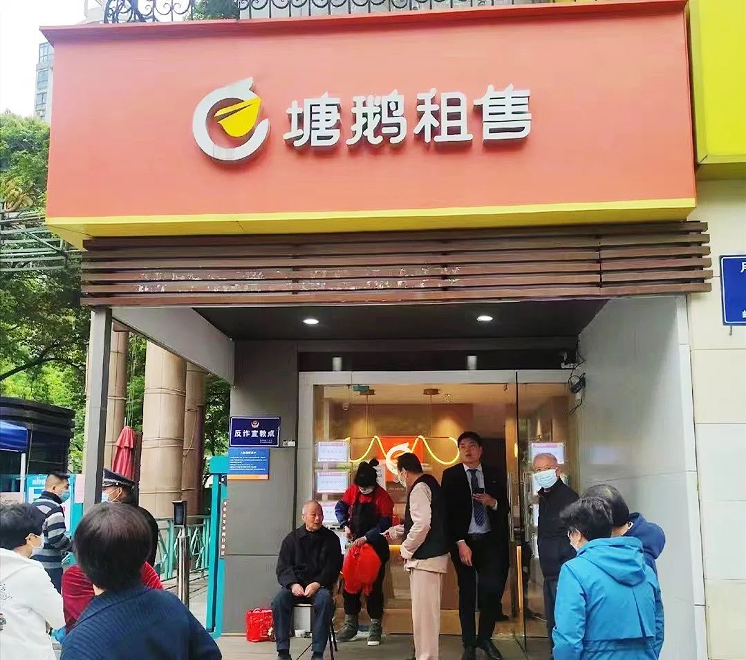 凝心聚力02抗击疫情0202龙湖塘鹅积极参与志愿行动助力社区战疫