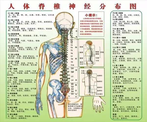 人體疾病與脊柱錯位關係一覽表01如果脊柱得病(錯位),不但壓迫了脊柱