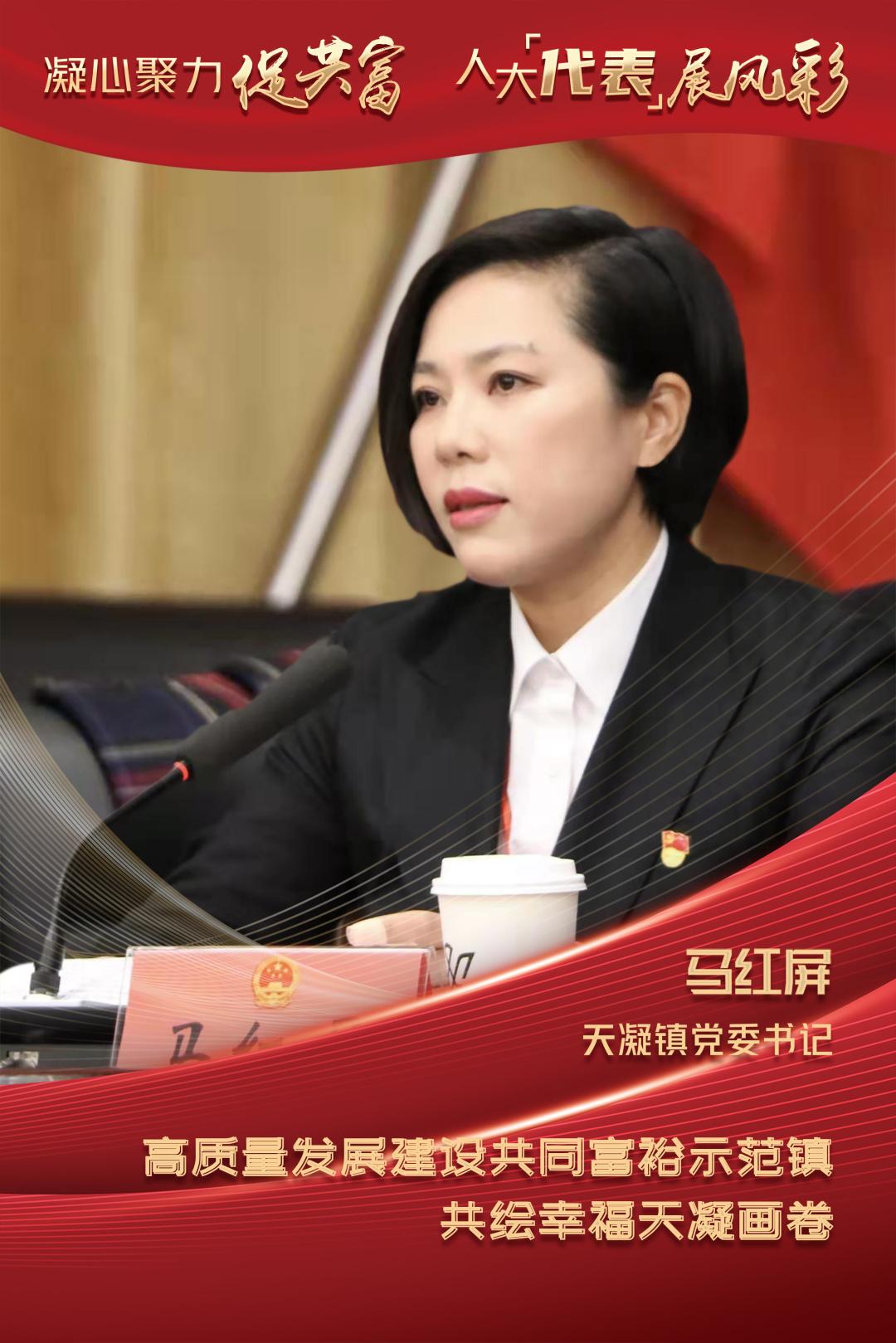凝心聚力促共富人大代表显担当马红屏高质量发展建设