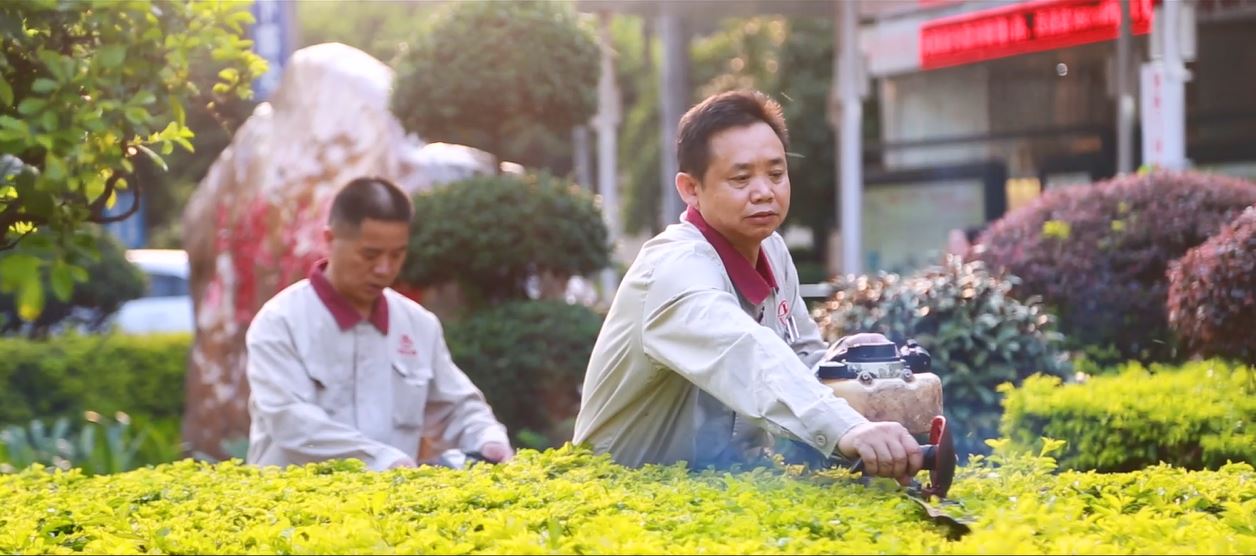绿化