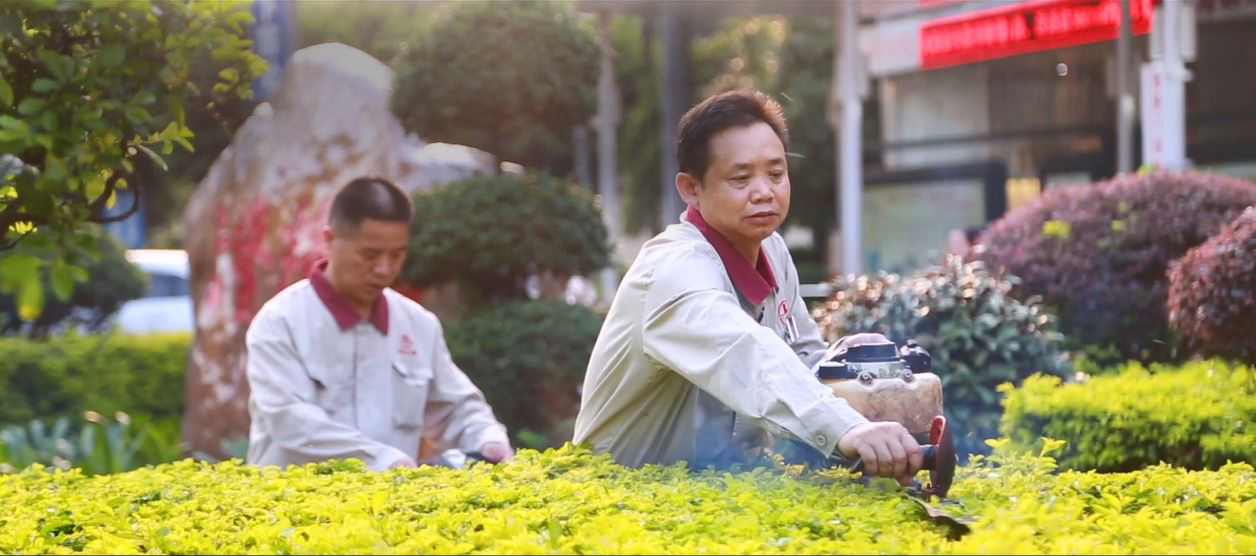 绿化
