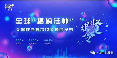 企业服务云海聚英才创新创业峰会全球揭榜挂帅关键核心技术攻关项目