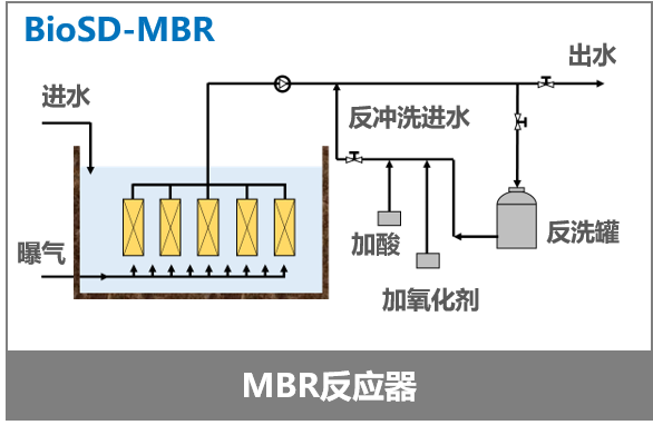 生化6