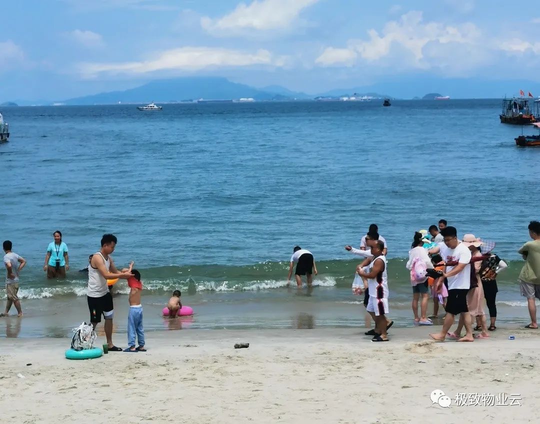 海湾礁石处