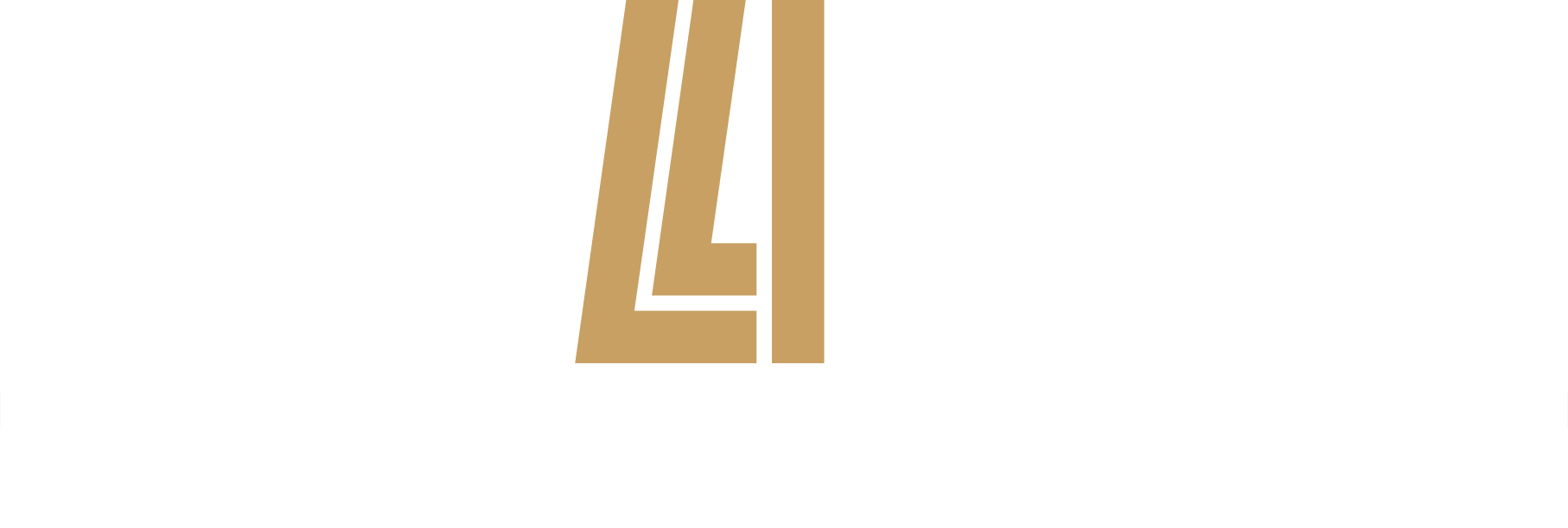 logo1