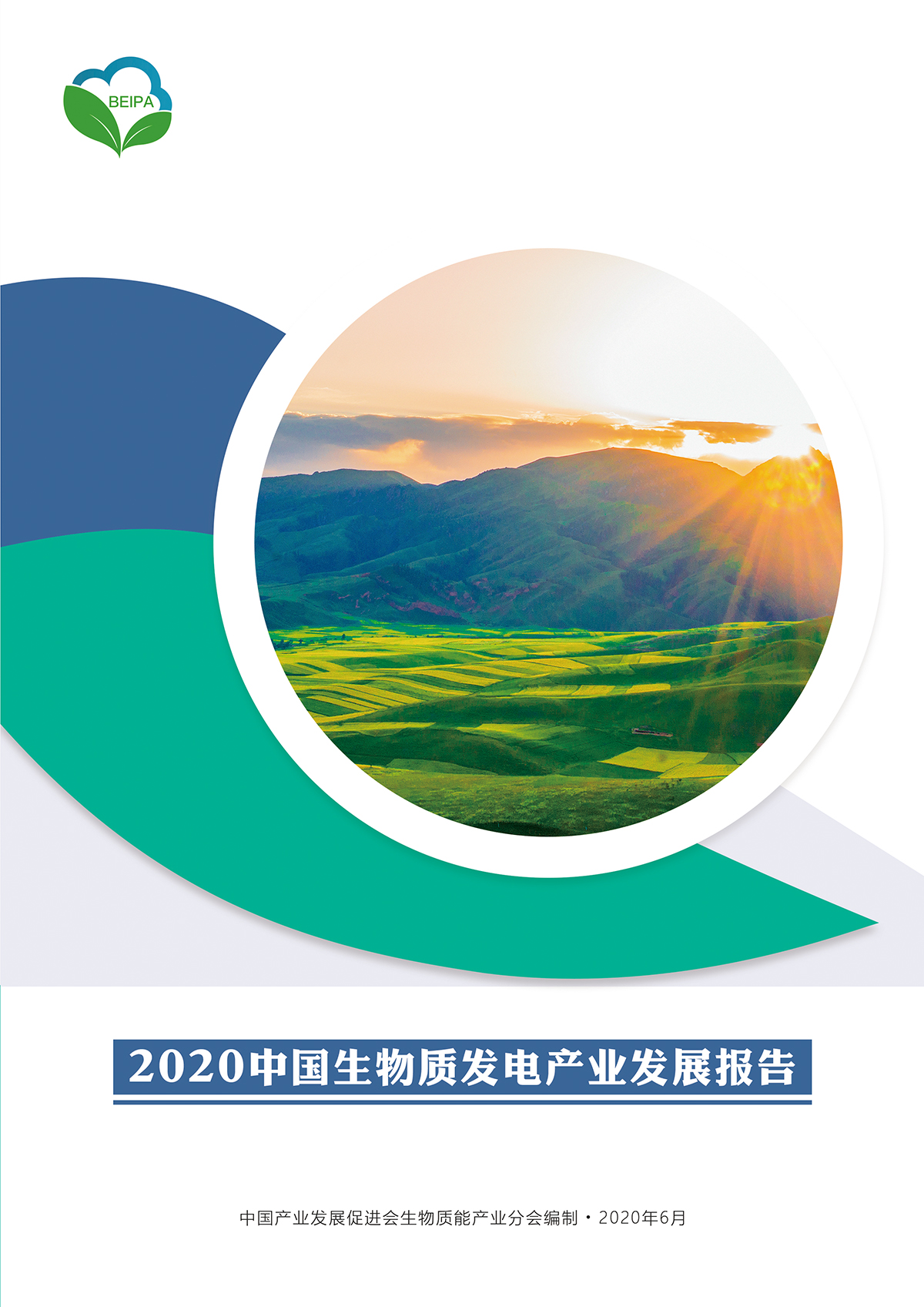 2020中国生物质发电产业发展报告