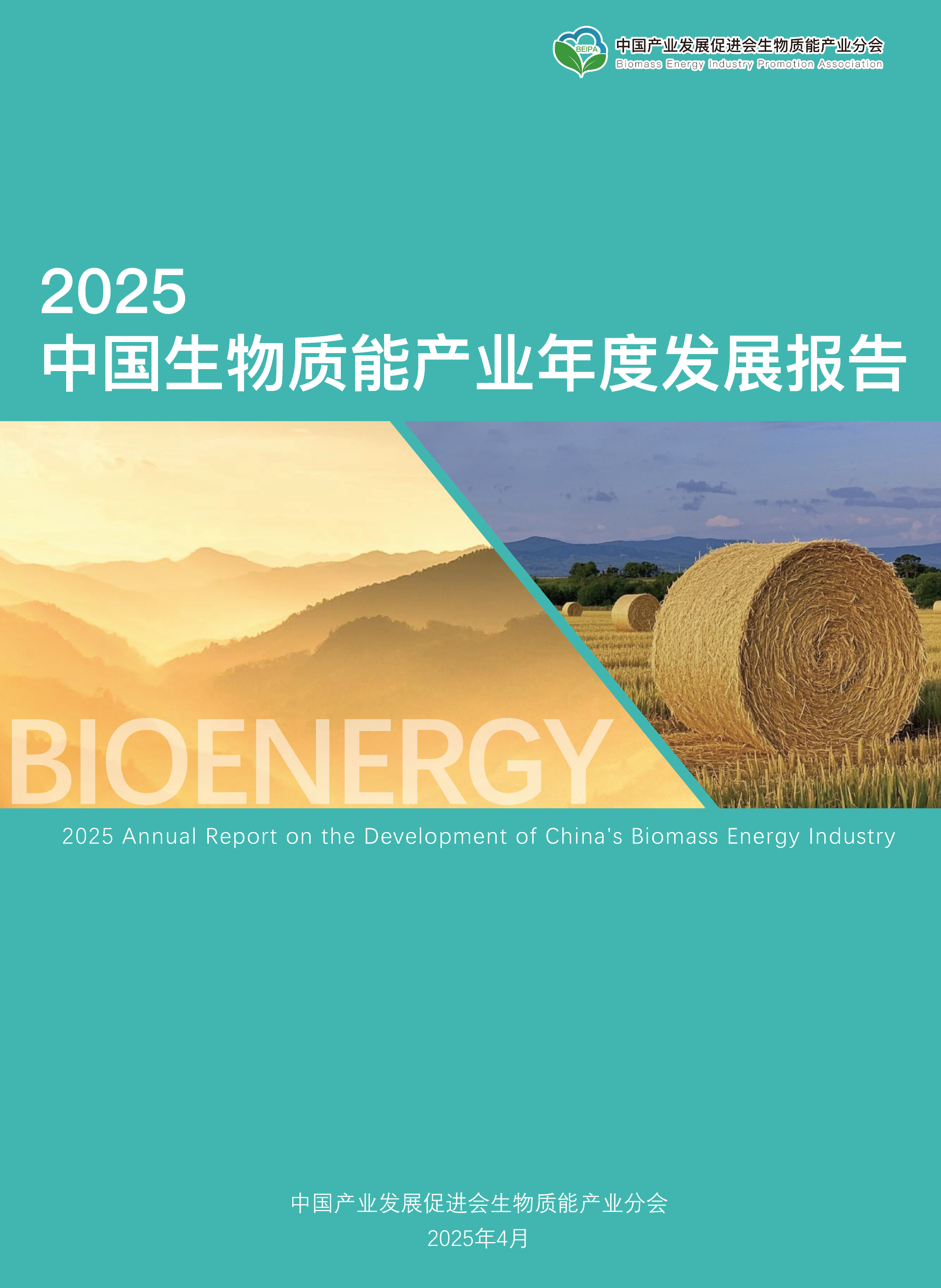 2025中国生物质能产业发展报告