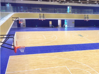 定制版壁挂篮球架