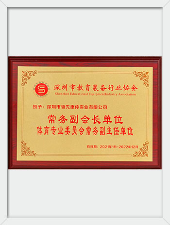 深圳市教育装备行业协会常务副会长单位