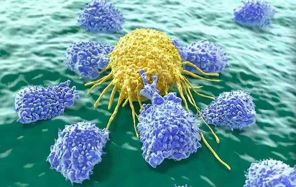 免疫疗法遇上多能干细胞实体肿瘤或有了新克星